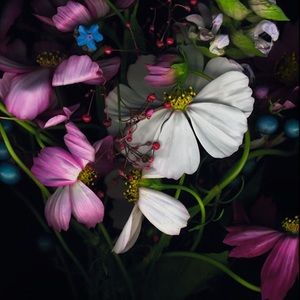 Meet your Posher, Ana